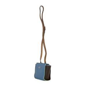 Blue Bag with a Loong Strap
