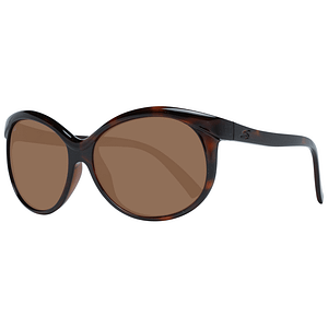 Serengeti Brown Women Sunglasses