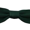 Dolce & Gabbana Green 100% Silk Slim Adjustable Neck Papillon Men Bow Tie