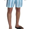 Blue Striped Beachwear Swimshorts