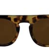 Dolce & Gabbana Brown Tortoise Oval Full Rim Sunglasses