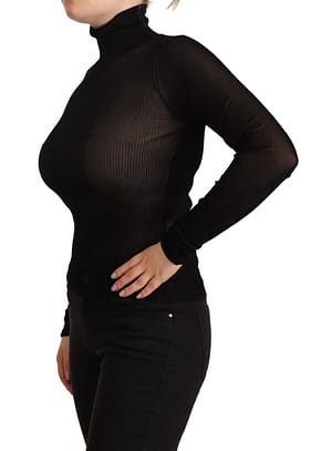 Black Turtleneck Sheer Pullover Top Sweater