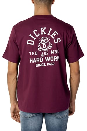 Dickies T-Shirt CLEVELAND TEE SS