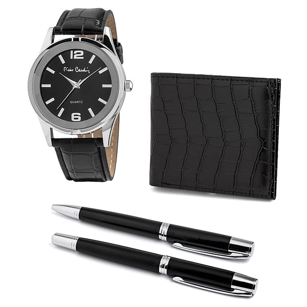 Pierre cardin silver watches for man