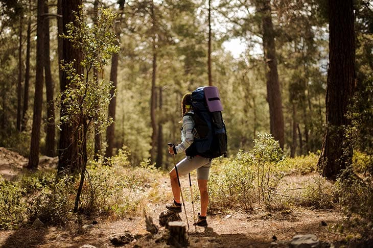 Female hiker sticks forest