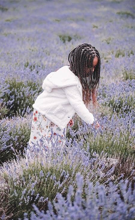 Girl lavender field box braids